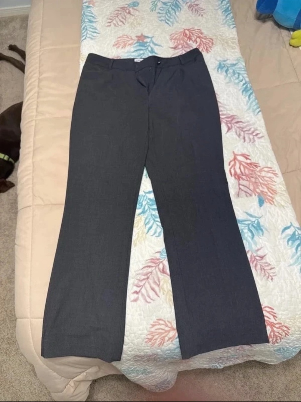 Calvin Klein Women's Dark Gray Dress Pants